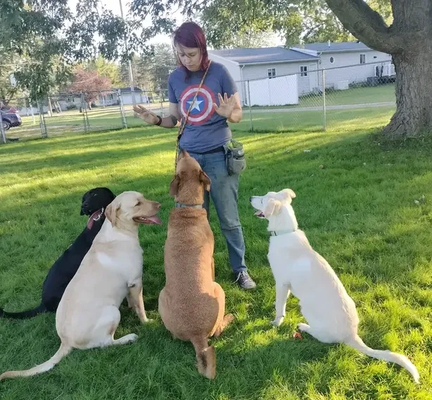 Dog Training